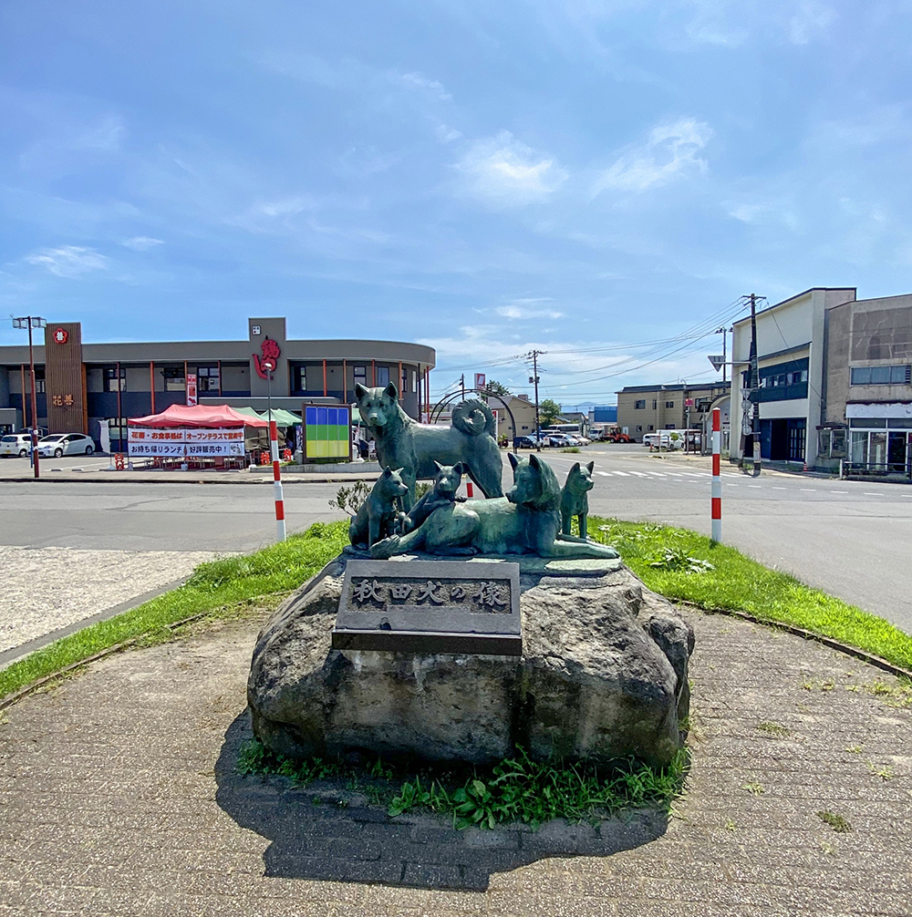秋田犬の里
