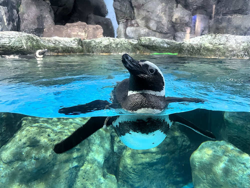 八景島シーパラダイス