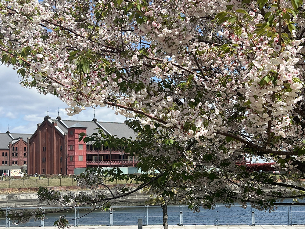 横浜赤レンガ倉庫
