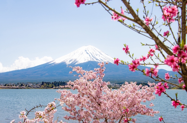 富士山がきれいに見える絶好のスポット