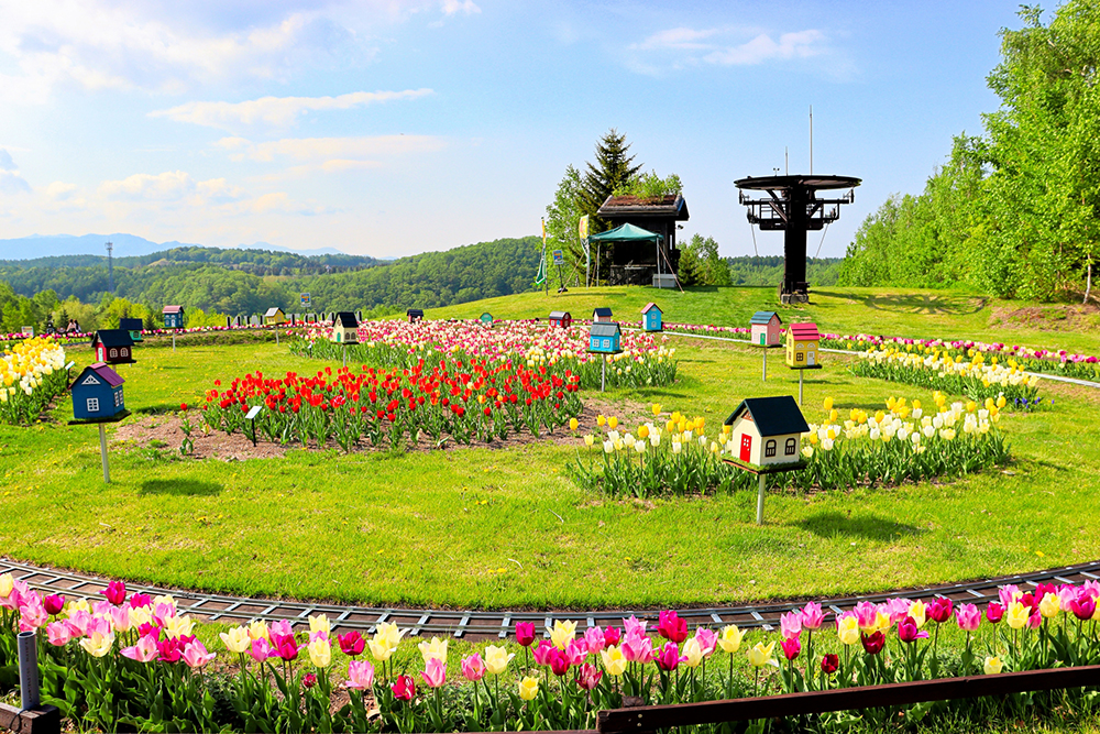 滝野すずらん丘陵公園