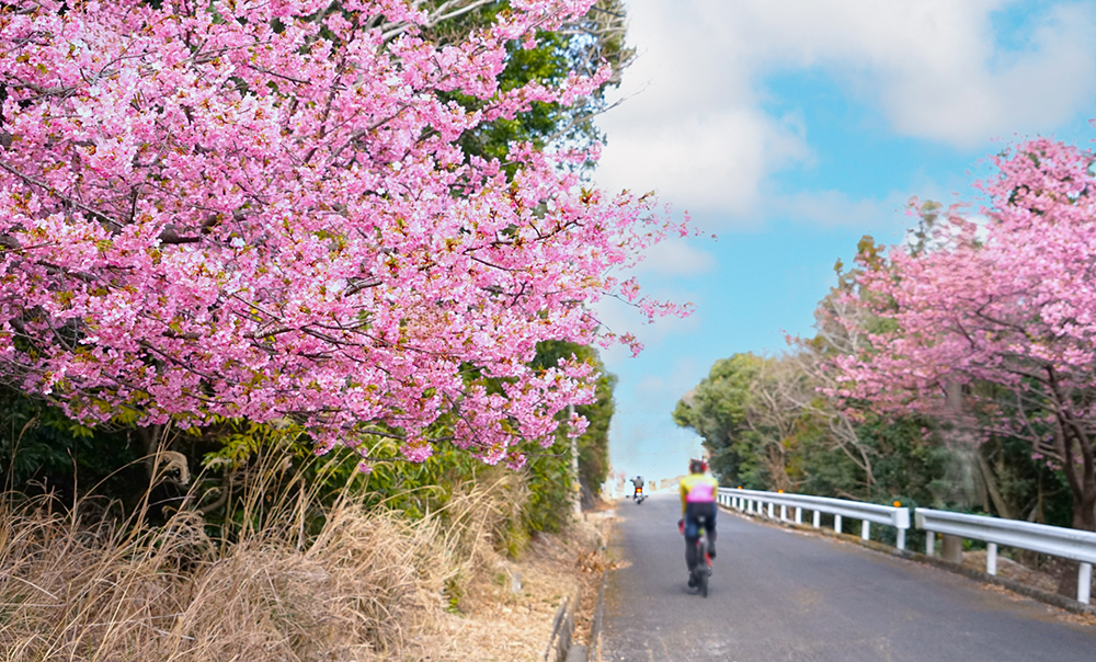 自転車旅