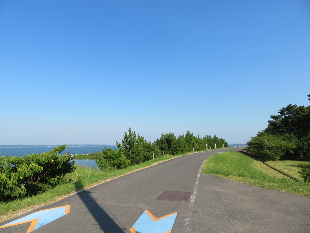 つくば霞ヶ浦りんりんロード