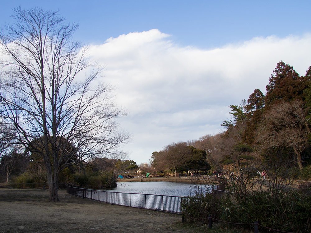 こども自然公園