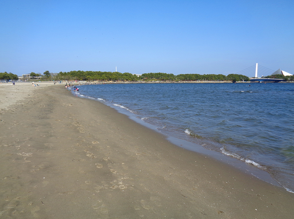 海の公園