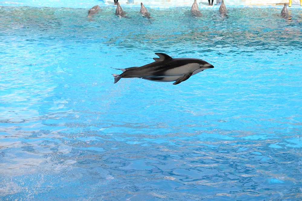 水族館