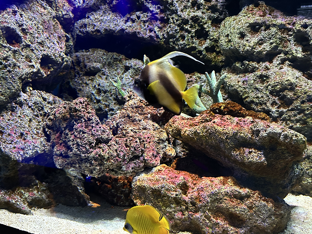 水族館
