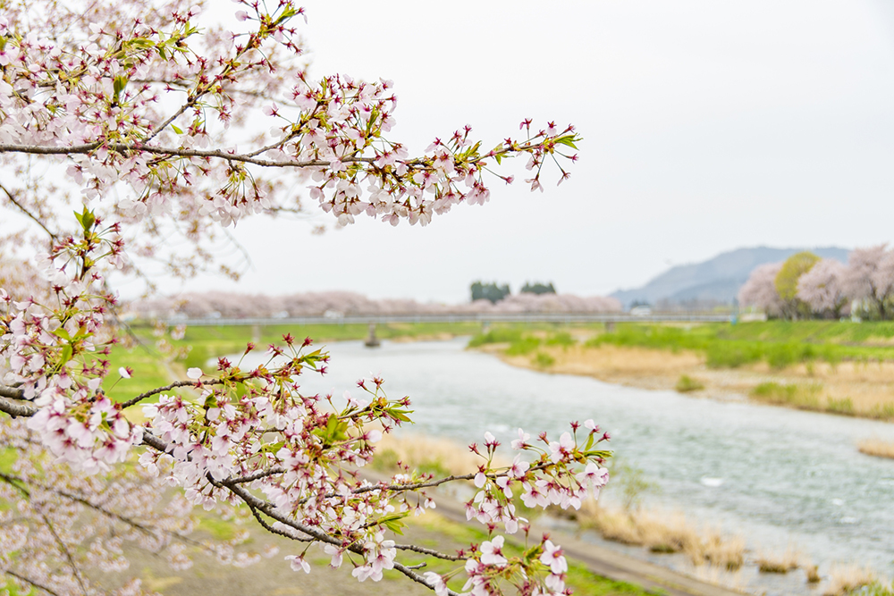 秋田の風景
