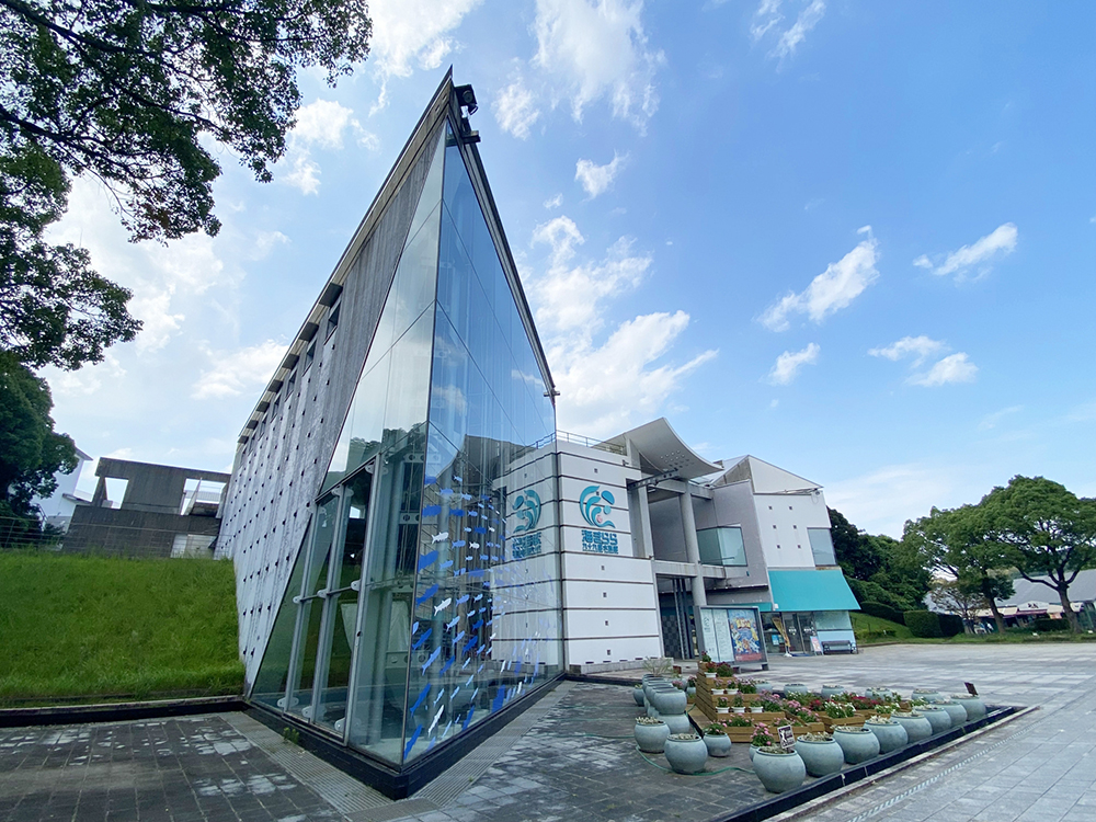 水族館「海きらら」