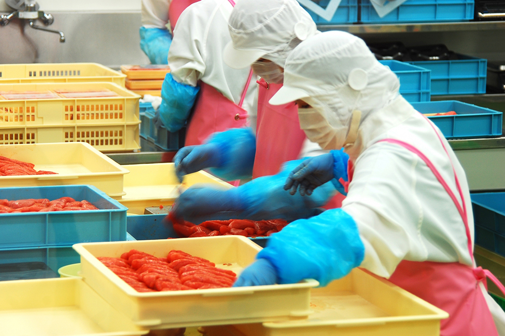 福太郎本社 めんたい工場