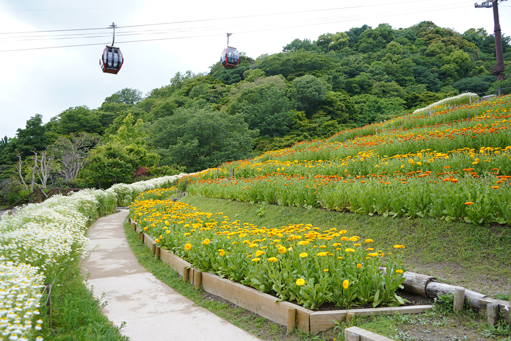 神戸布引ハーブ園